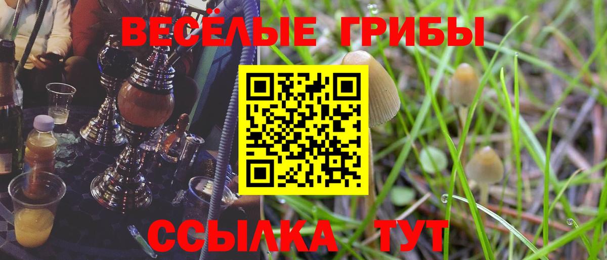 сколько стоит  Псилоцибиновые грибы мицелий  Вход с VPN  Буйнакск 